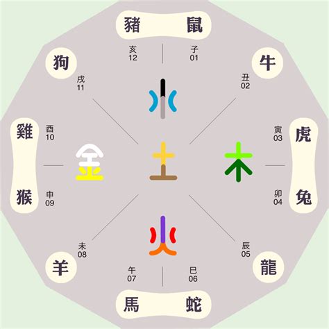 柏五行|柏字的五行属性